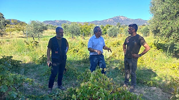 Técnicos regionales valorando los daños