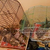 La Policía Municipal rescata a una anciana retenida por su hija entre palomas y basura en su piso de Madrid