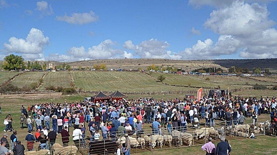 Las dulzainas y gaitas amenizarán la Feria del Ganado que regresa el 12 de octubre a Cantalojas