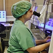 Las unidades de reproducción asistida realizan unos 3.000 tratamientos al año