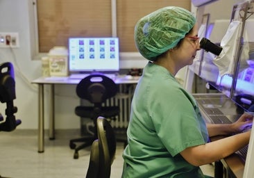 Las unidades de reproducción asistida realizan unos 3.000 tratamientos al año