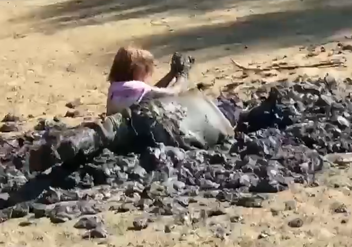 Fragmento del vídeo del rescate