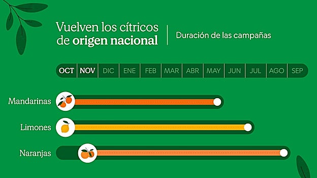 Mercadona inicia la campaña de cítricos: este es el origen de las naranjas, mandarinas y limones