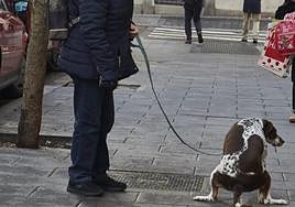 Una empresa española triunfa en Europa con su método para acabar con las cacas de perro en la calle