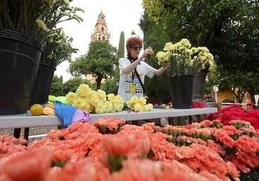 Fotos: Los últimos preparativos de Flora en Córdoba