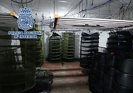 Un sistema de cultivo de marihuana «de última vanguardia» en Alicante: desarticulan un clan familiar con 80 kilos de cogollos