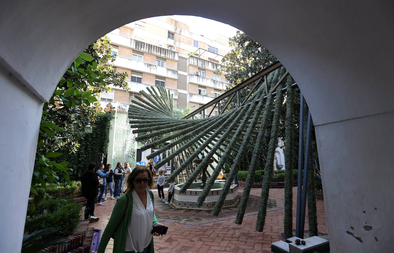 Fotos: las cinco propuestas artísticas de Flora