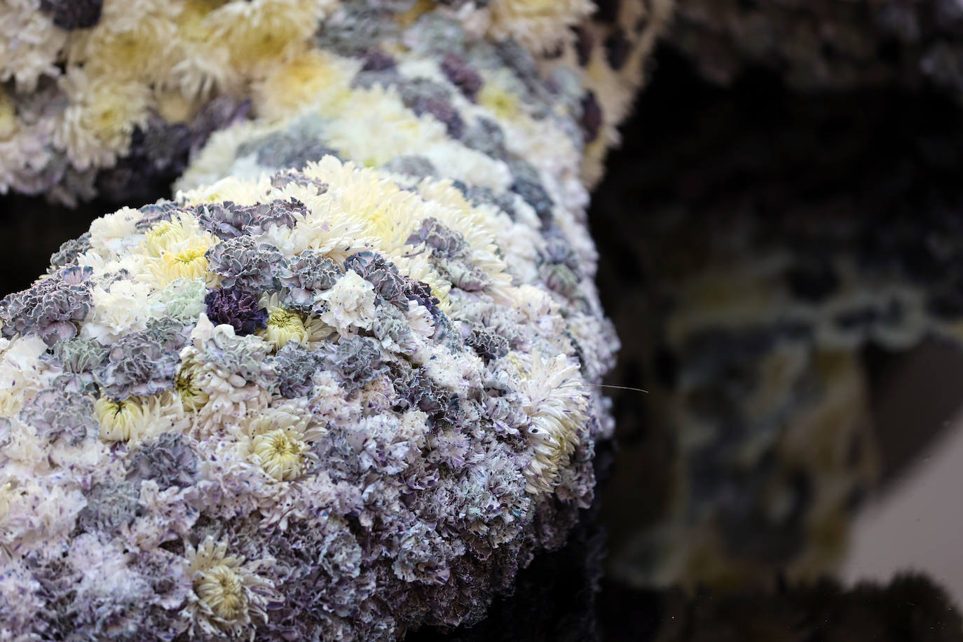 Fotos: las cinco propuestas artísticas de Flora