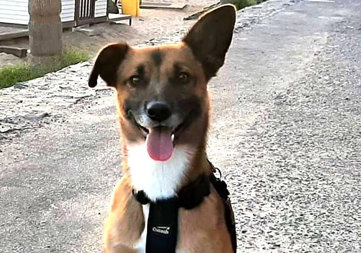 Mak, el perro de Conchi y Roberto