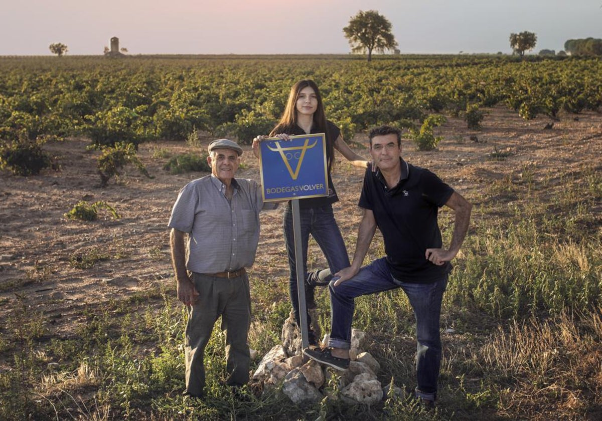 Bodegas y Viñedos Volver logra la certificación &#039;Sustainable Wineries for Climate Protection&#039;