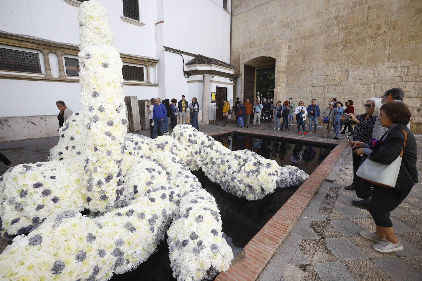 Fotos: radiante y multitudinaria segunda jornada de Flora
