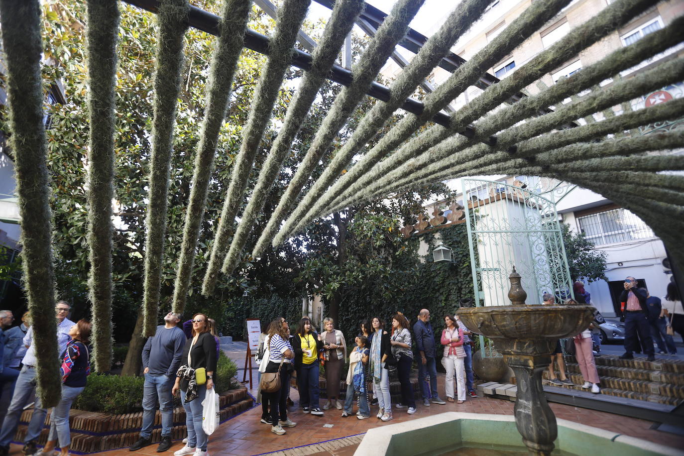 Fotos: radiante y multitudinaria segunda jornada de Flora