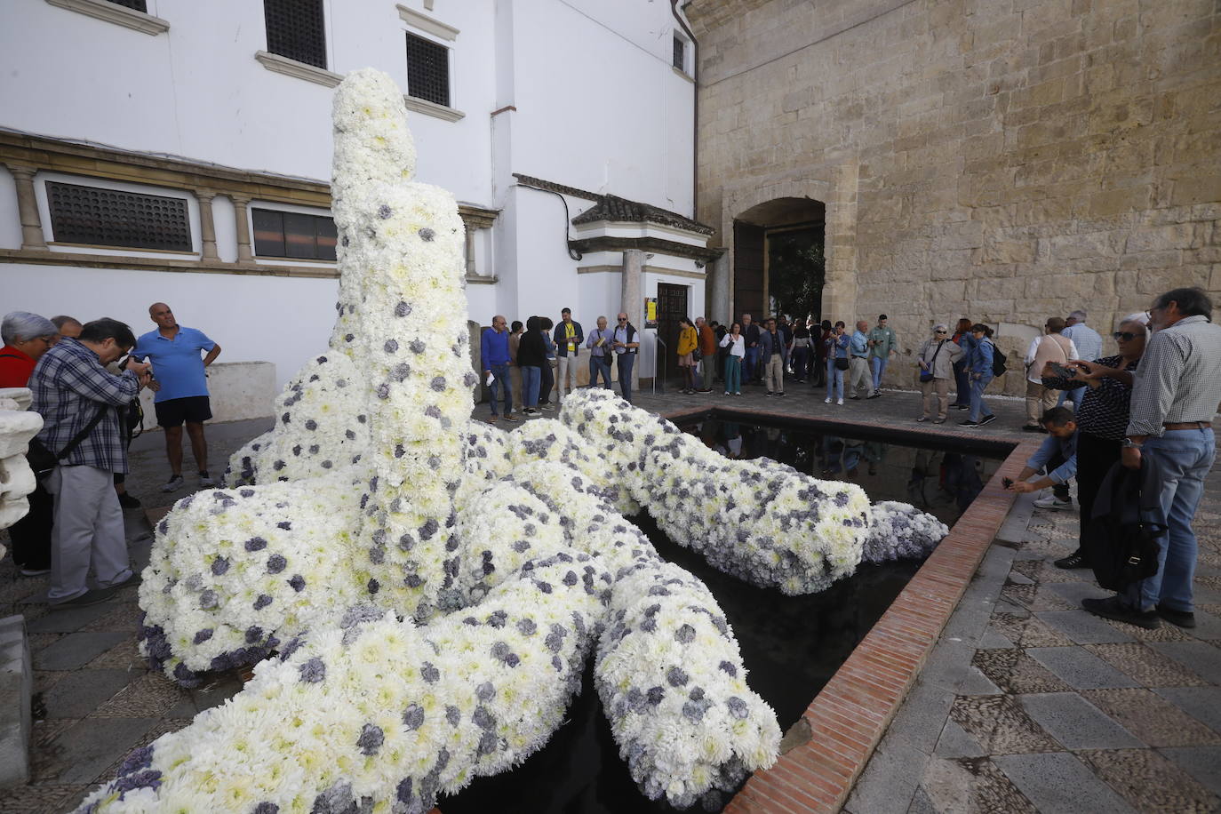 Fotos: radiante y multitudinaria segunda jornada de Flora