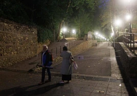 'Bernard' arranca árboles en Granada, obliga a desalojar la Alhambra y provoca tres heridos por caída de ramas