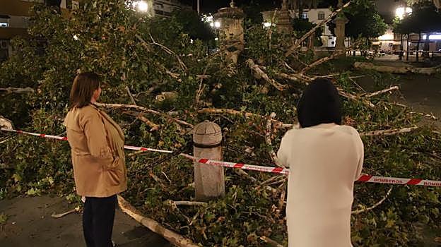 Imagen de la plaza de Cristo de Gracia, donde la caída de un árbol derribó el triunfo de San Rafael