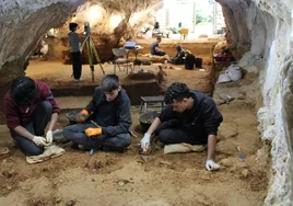 El yacimiento burgalés de Prado Vargas fue un restaurante neandertal con ciervos, rebecos y bisontes