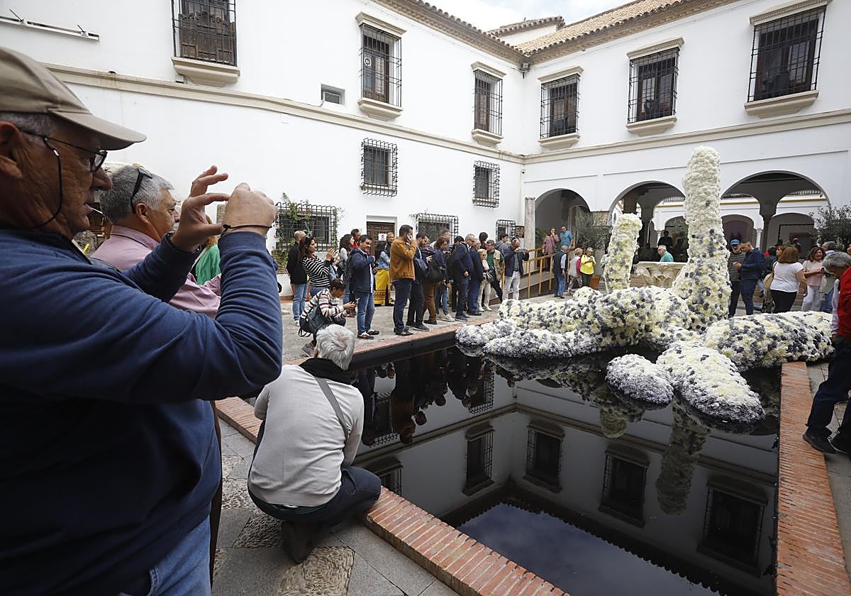 Instalación ganadora de Flora en el Patio del palacio de los Páez de Castillejo (Museo Arqueológico)