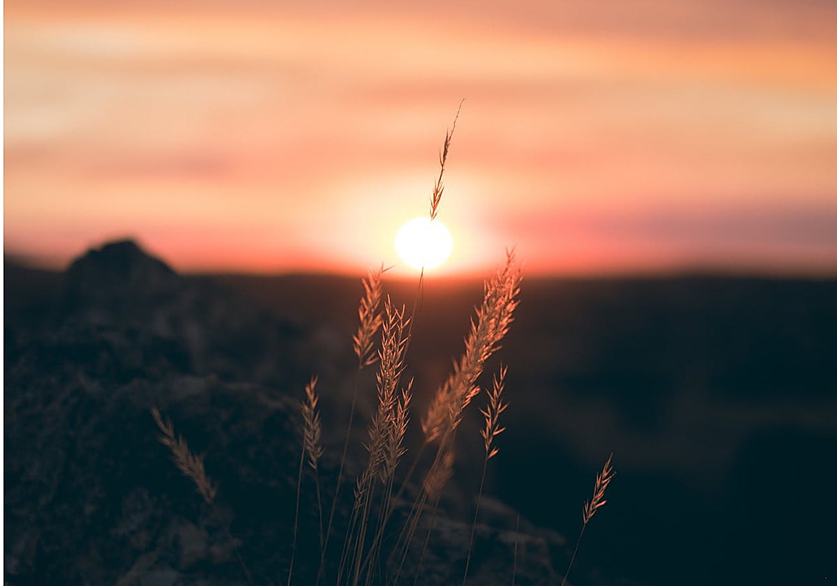 Amanecer en el campo