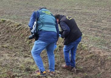 La Guardia Civil captura al perro desaparecido de los cinco que mataron a la joven en Zamora