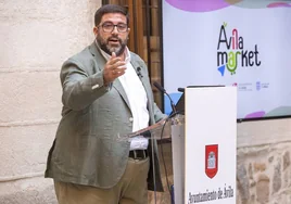 La oposición impide que salga adelante la propuesta de ordenanzas municipales de Por Ávila