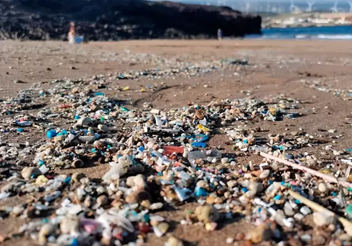 Microplásticos en la playa de Arico