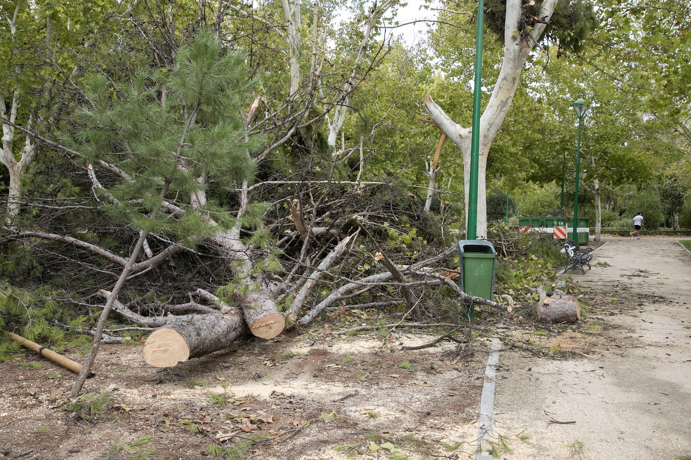 En imágenes, los efectos de Bernard en Córdoba una semana después