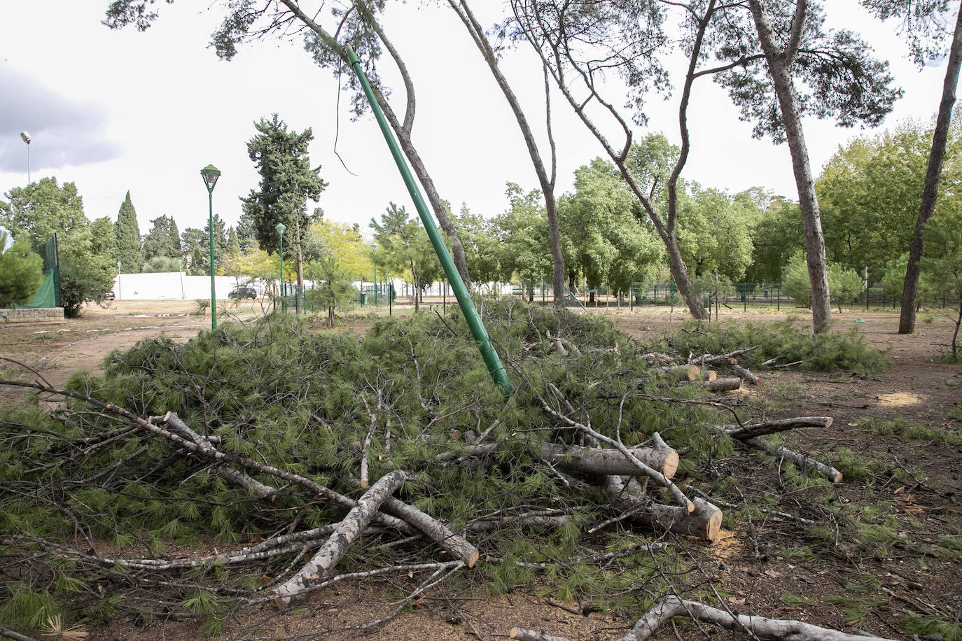 En imágenes, los efectos de Bernard en Córdoba una semana después