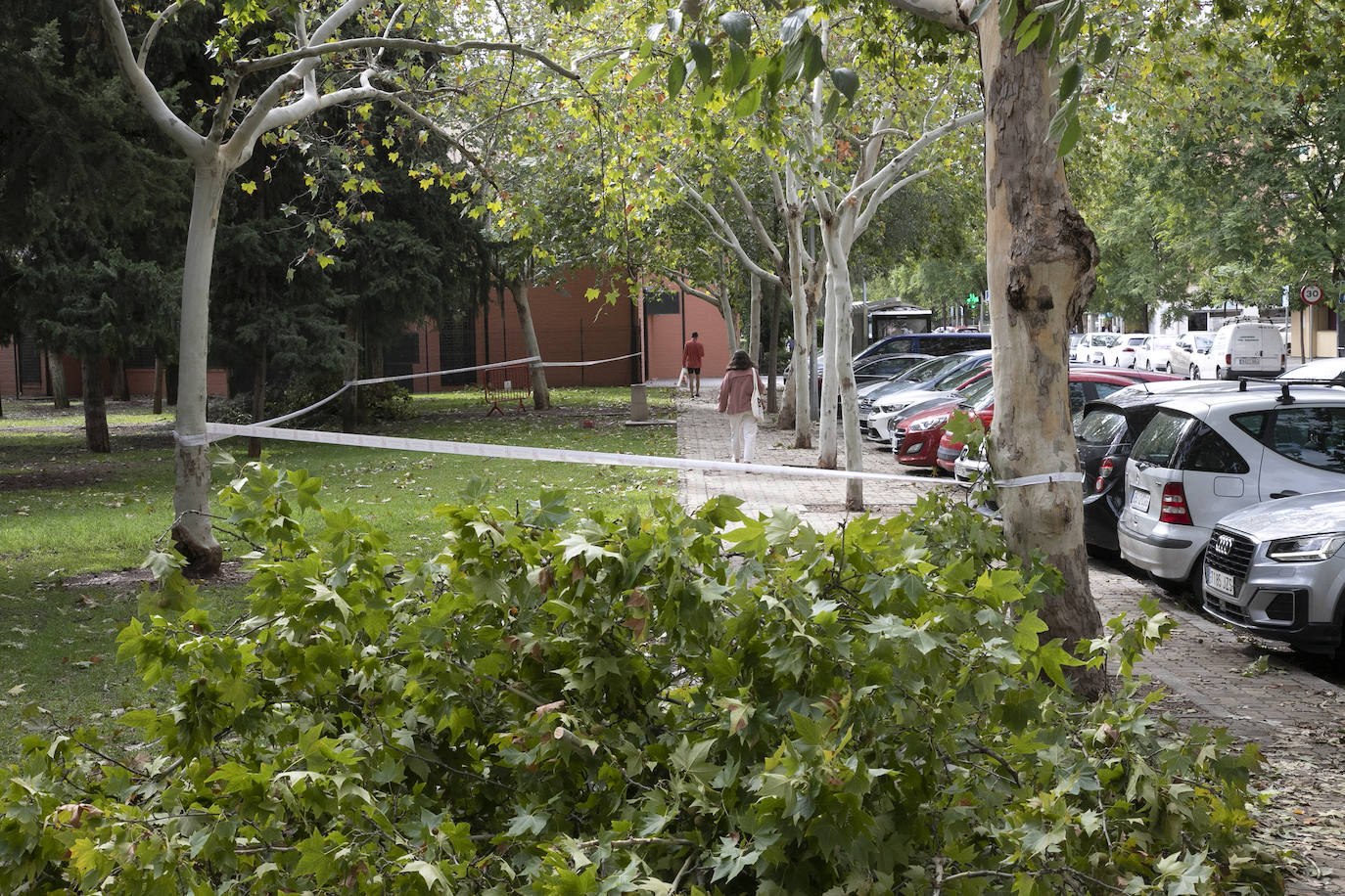 En imágenes, los efectos de Bernard en Córdoba una semana después