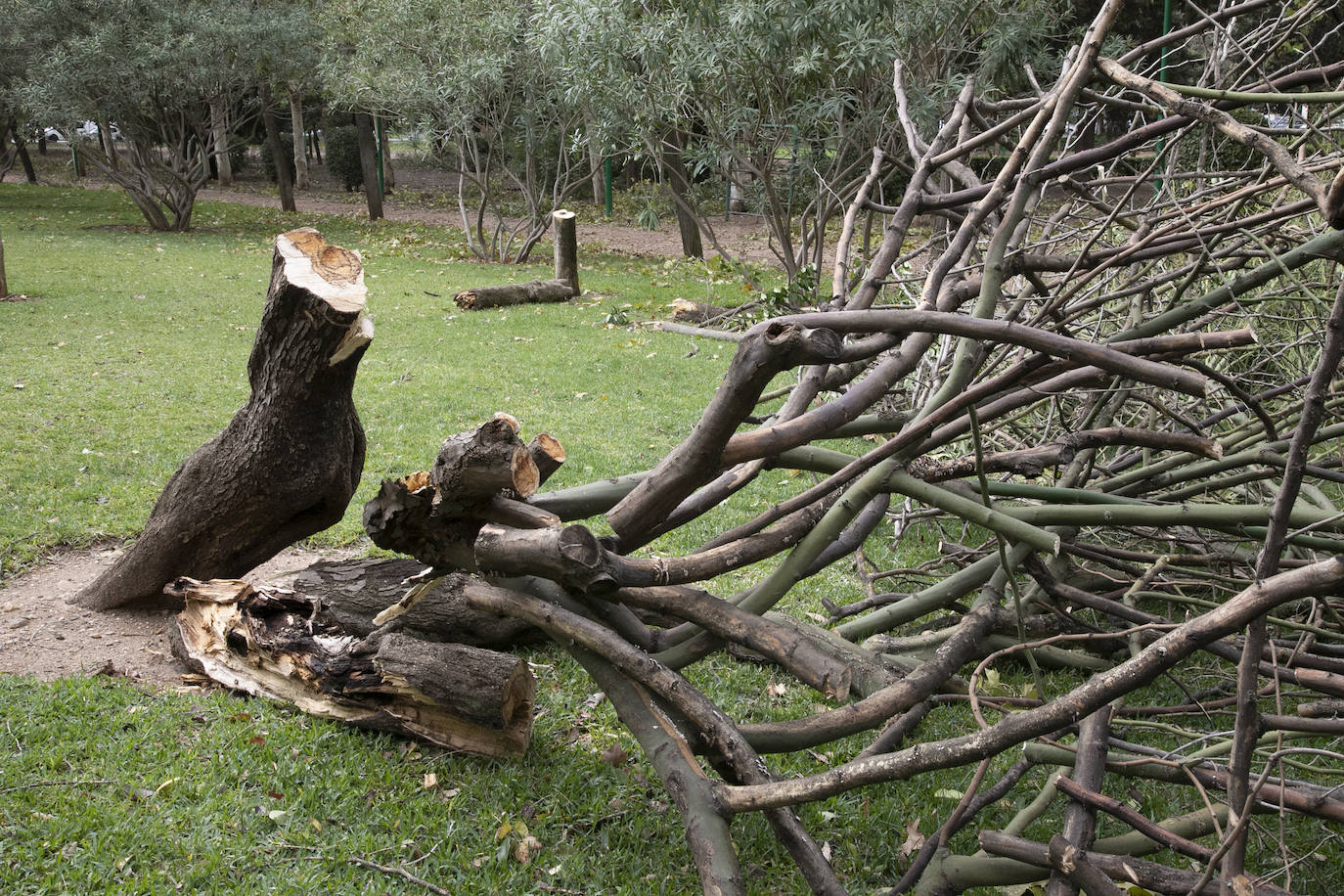 En imágenes, los efectos de Bernard en Córdoba una semana después