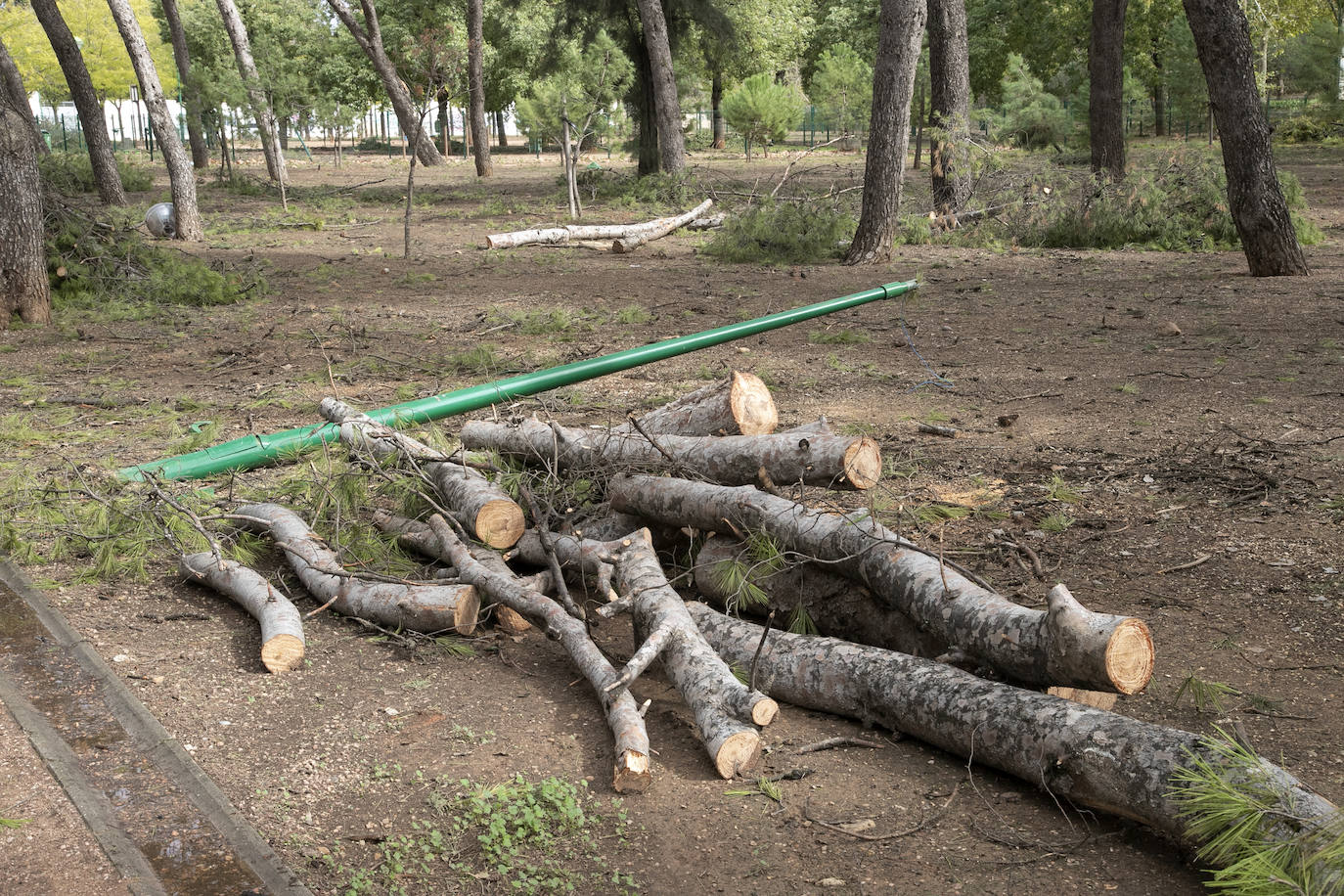 En imágenes, los efectos de Bernard en Córdoba una semana después