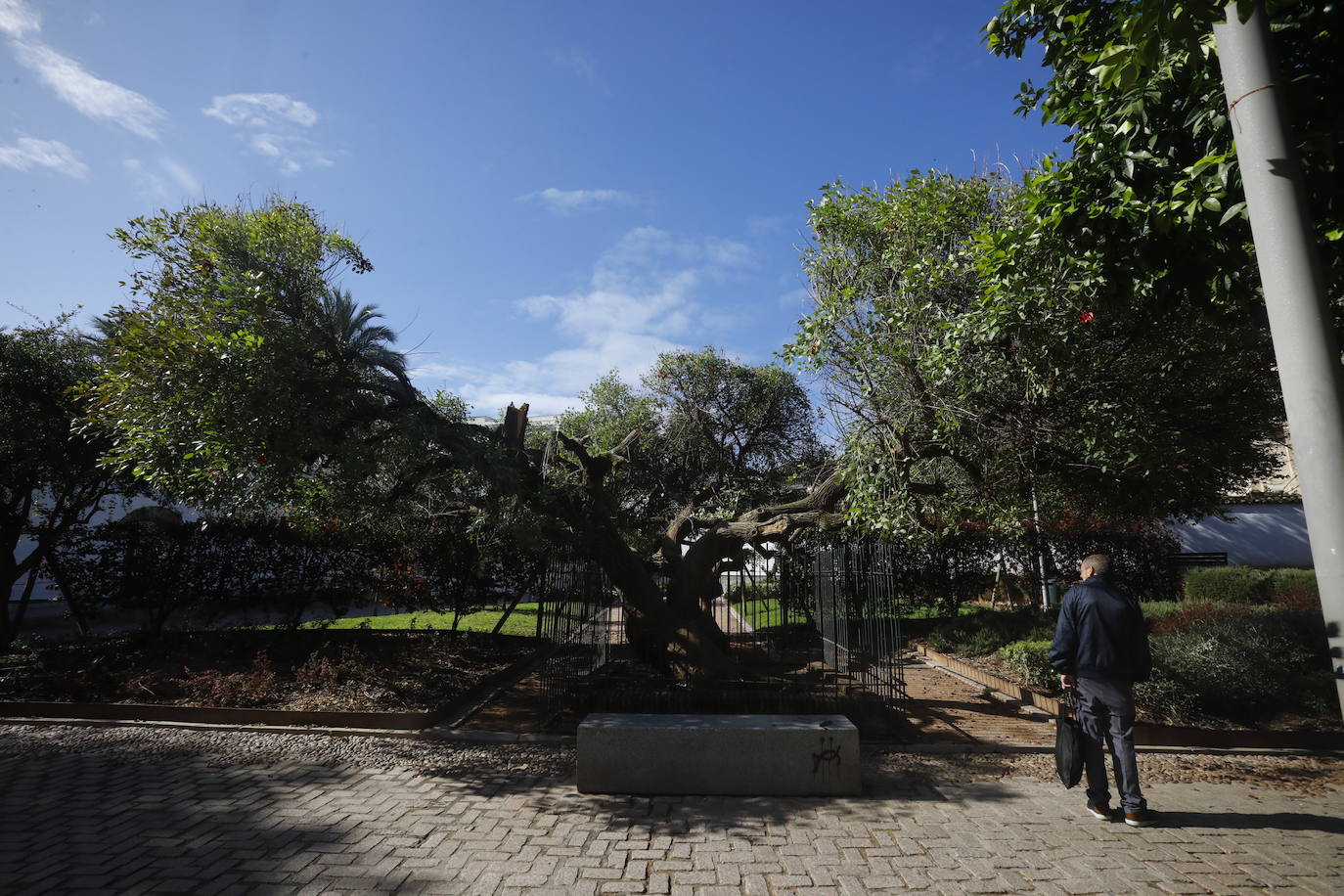 En imágenes, los efectos de Bernard en Córdoba una semana después