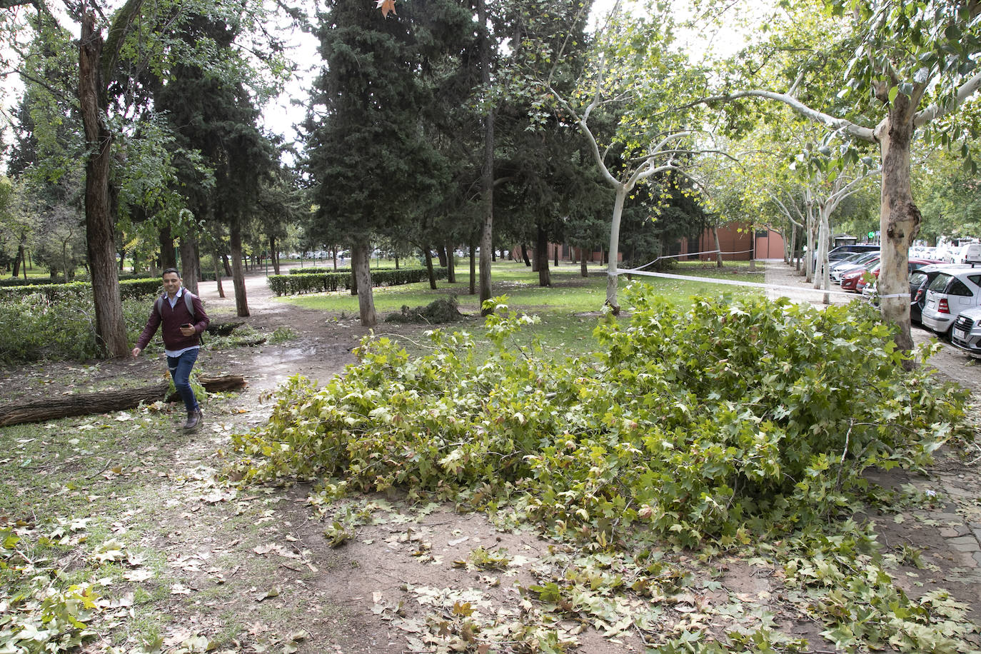 En imágenes, los efectos de Bernard en Córdoba una semana después