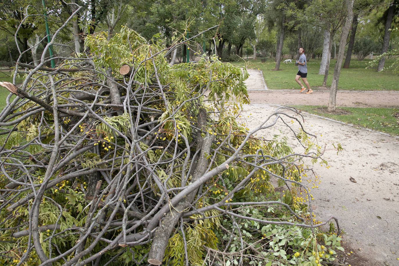 En imágenes, los efectos de Bernard en Córdoba una semana después