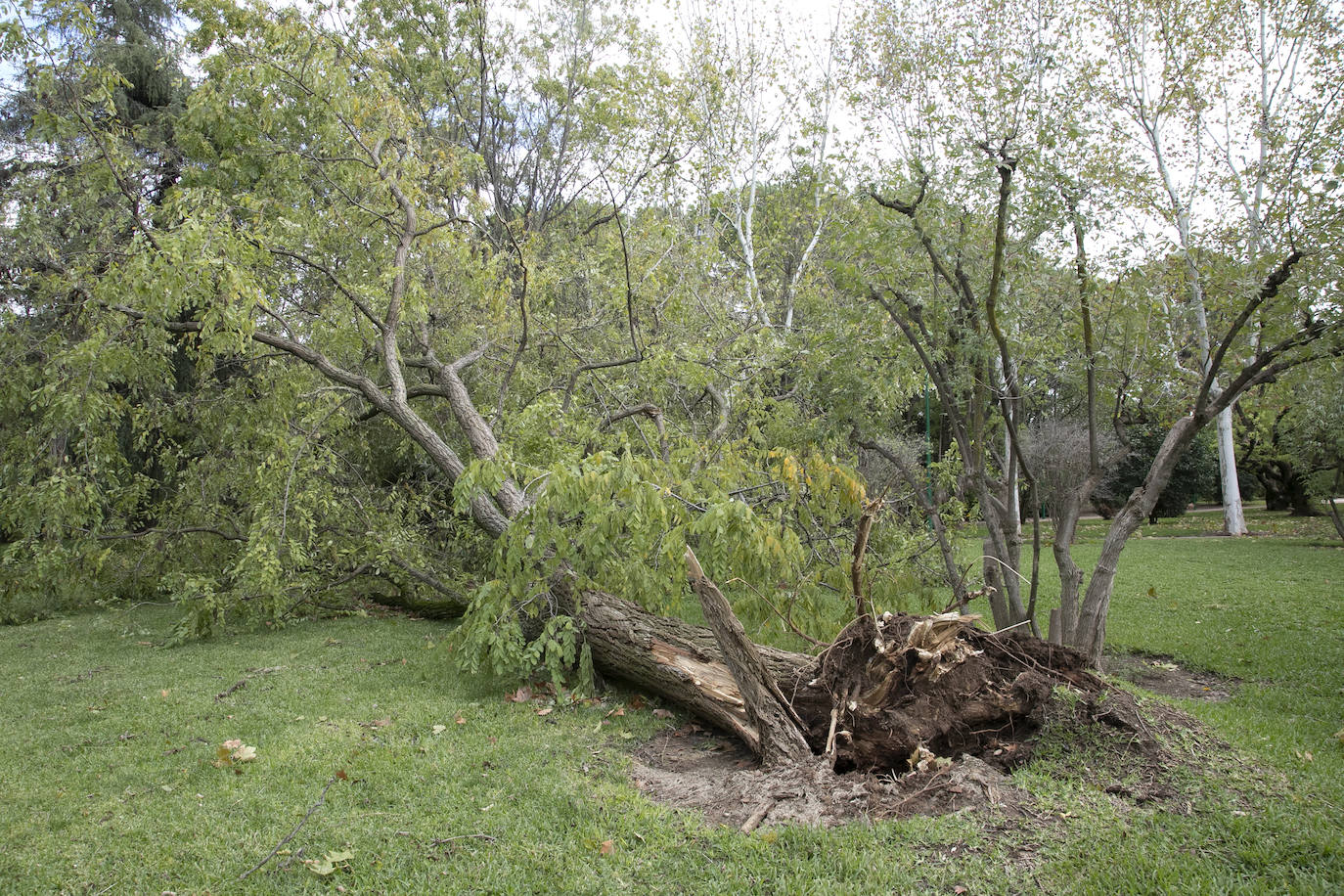 En imágenes, los efectos de Bernard en Córdoba una semana después