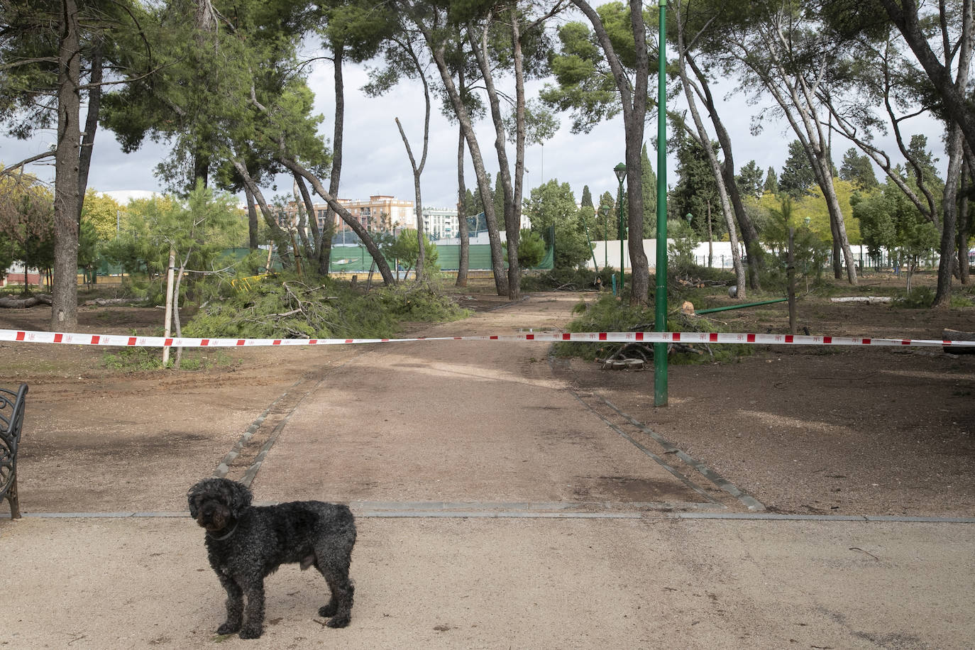 En imágenes, los efectos de Bernard en Córdoba una semana después