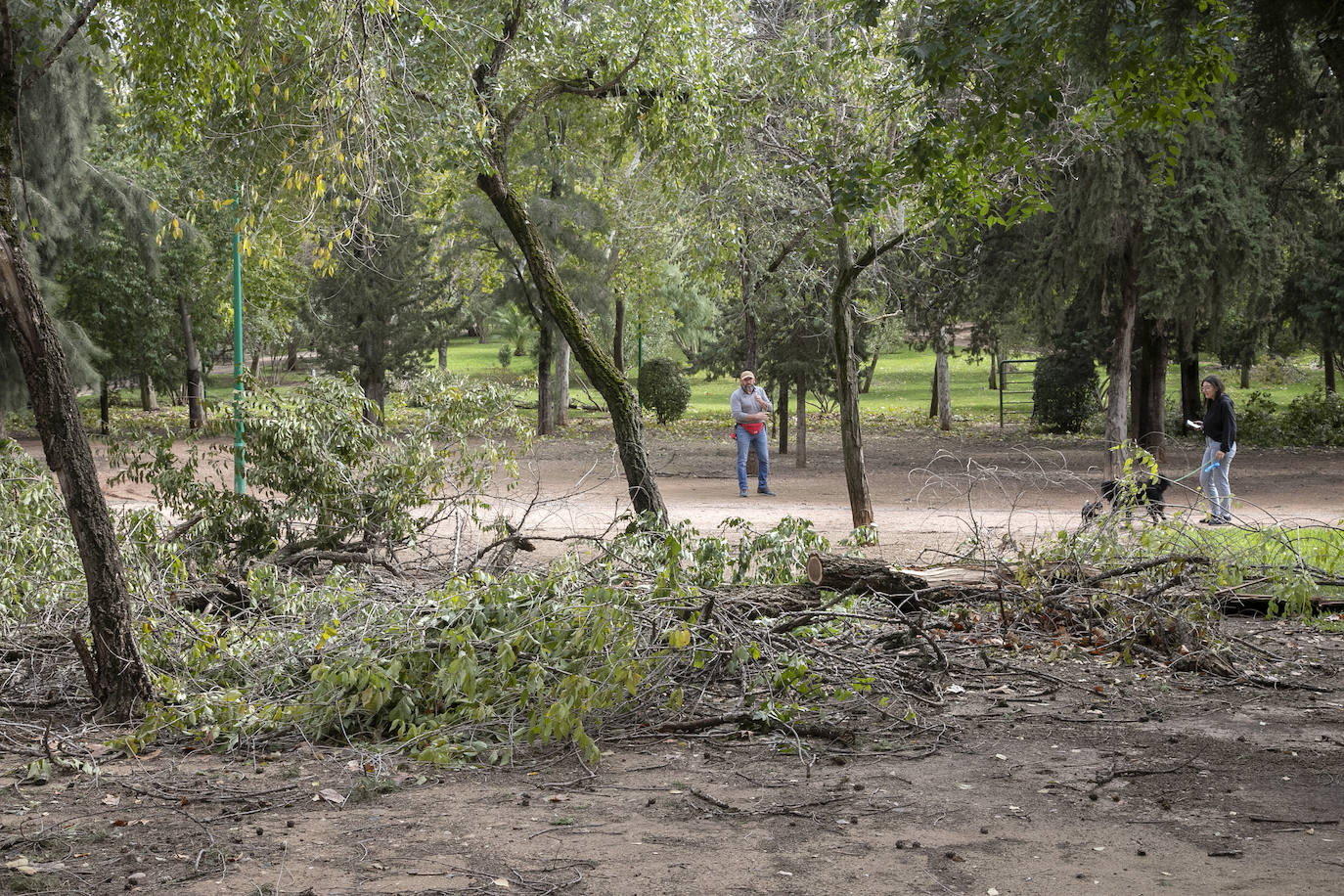 En imágenes, los efectos de Bernard en Córdoba una semana después