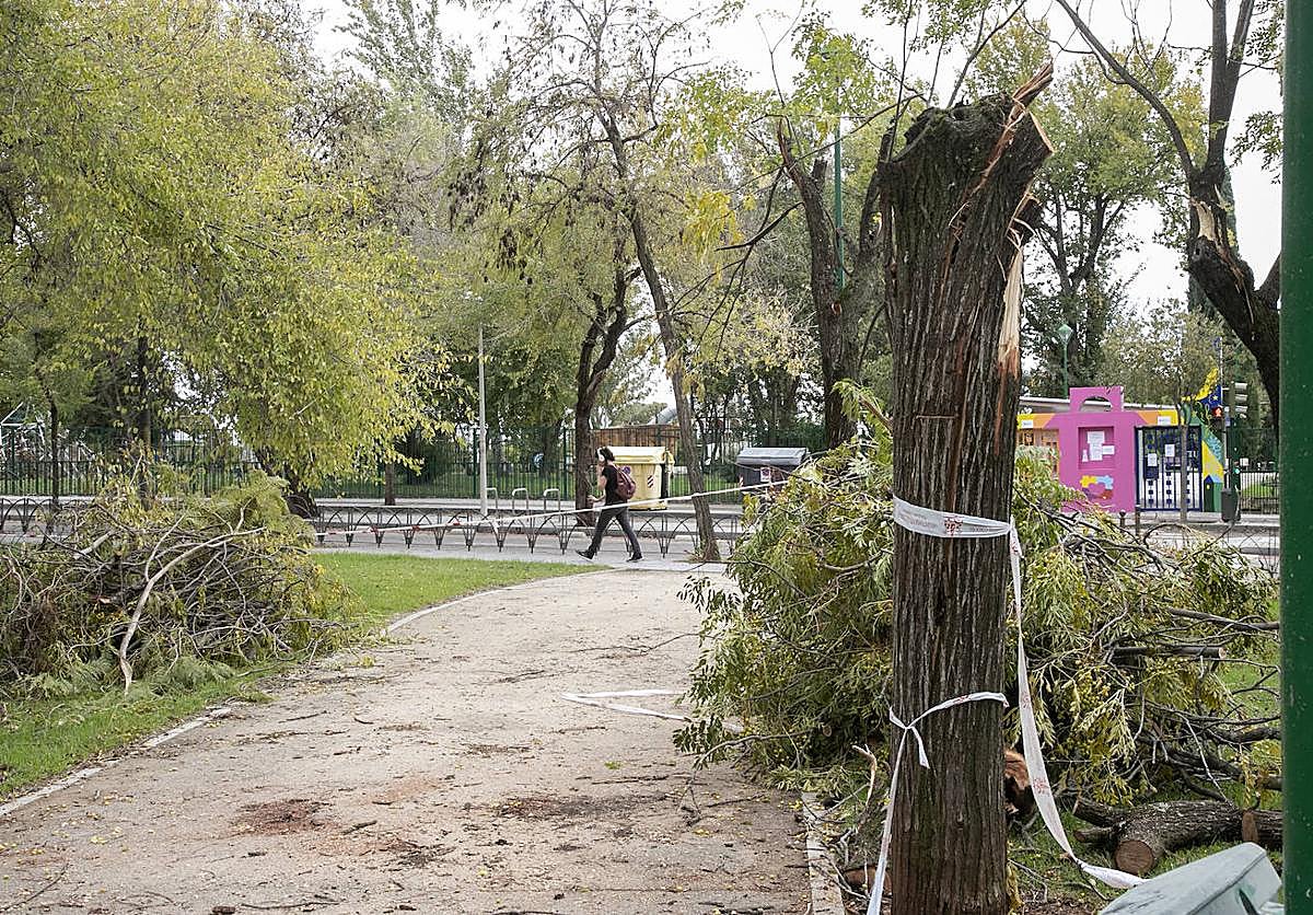 En imágenes, los efectos de Bernard en Córdoba una semana después