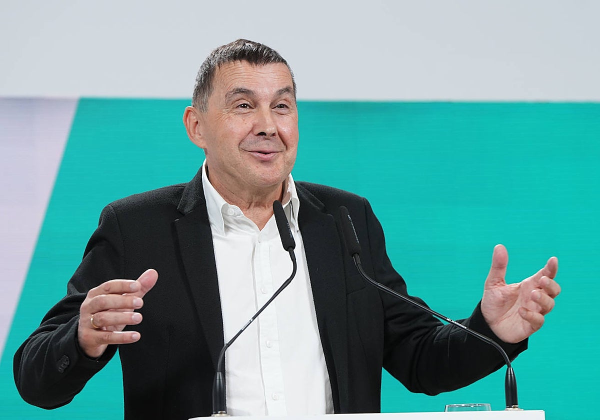 Arnaldo Otegi durante un momento de su comparecencia hoy en San Sebastián