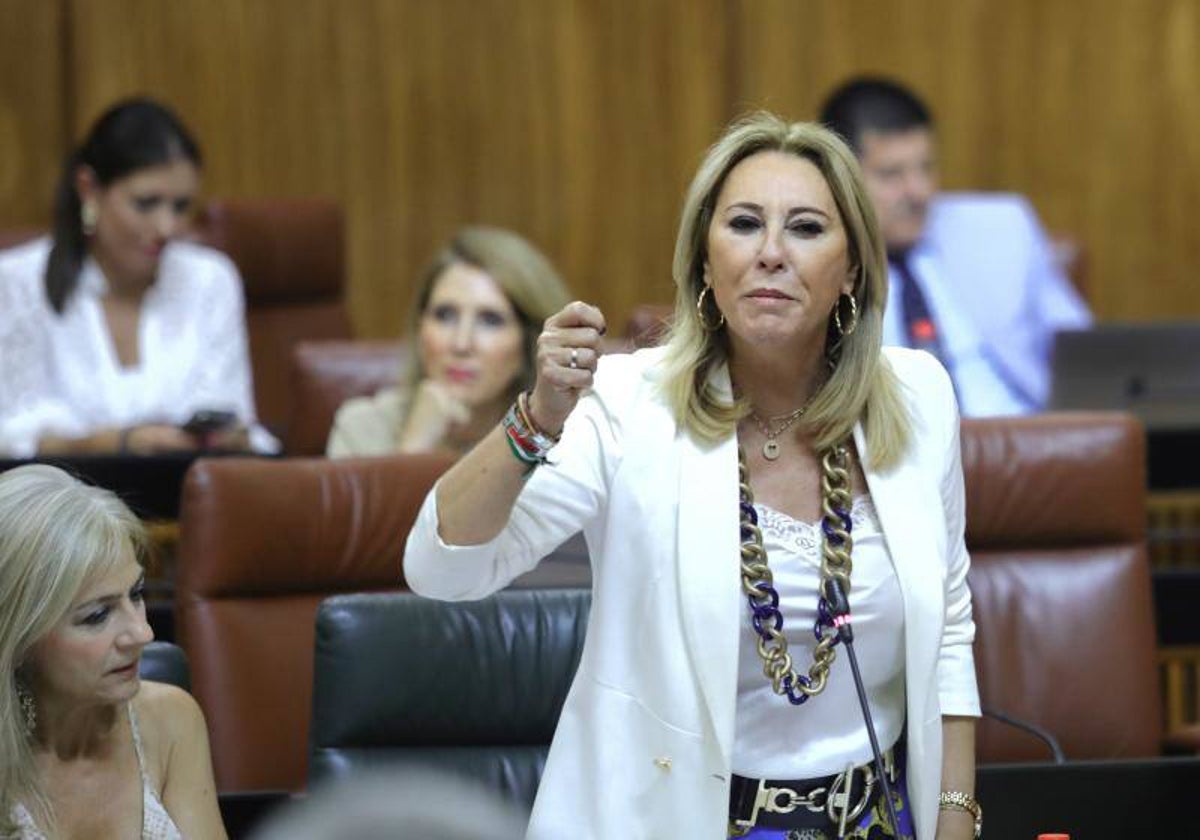 La consejera de Hacienda, Carolina España, en el Parlamento