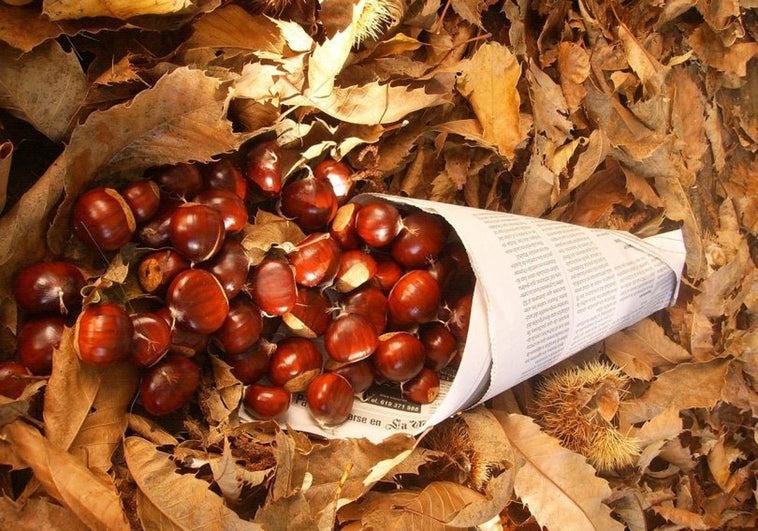 Una papelina con castañas