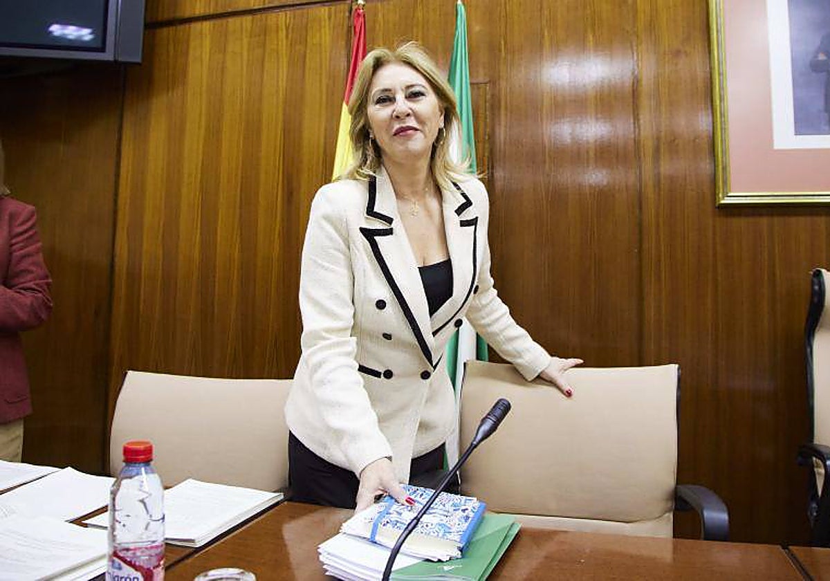 La consejera de Economía, Hacienda y Fondos Europeos, Carolina España