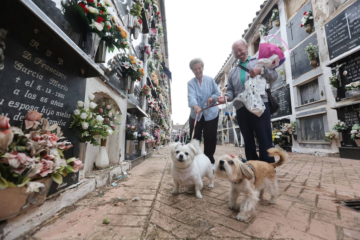 Fotos: Los cementerios de Córdoba se llenan de vida el Día de Todos los Santos