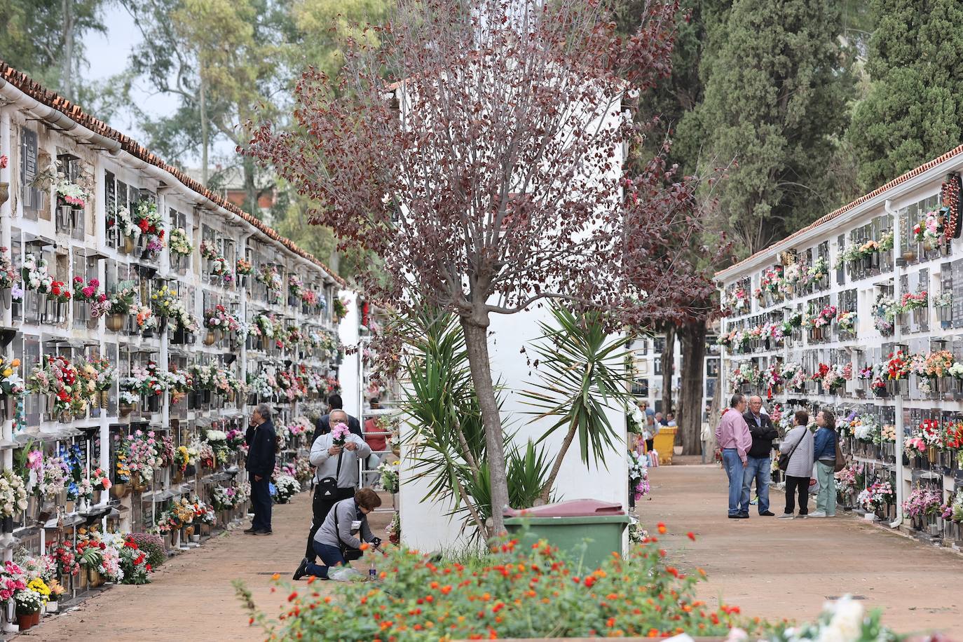 Fotos: Los cementerios de Córdoba se llenan de vida el Día de Todos los Santos