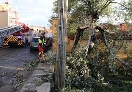 La borrasca 'Ciarán' deja cerca de 500 incidencias en Castilla y León por las fuertes rachas de viento