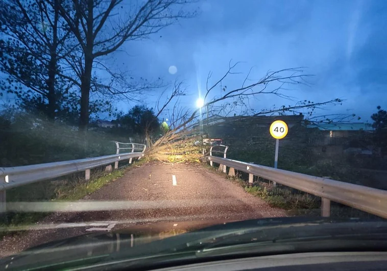 Cortada la carretera entre Moral de Sayago y Moralina en Zamora