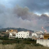 Un incendio forestal agravado por el viento obliga a evacuar varios municipios valencianos y arrasa 1.400 hectáreas