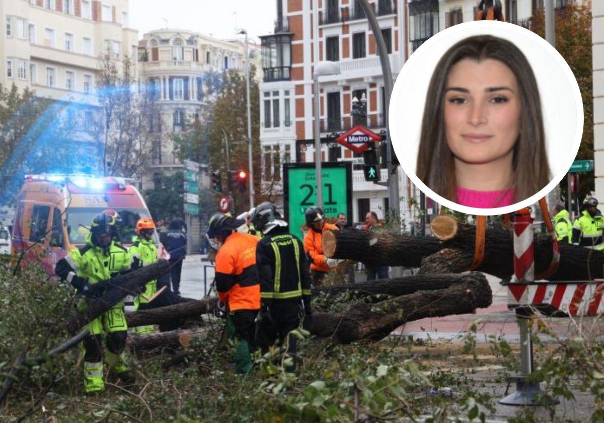 Los bomberos retiran el árbol que cayó en la plaza de Alonso Martínez con la calle de Almagro