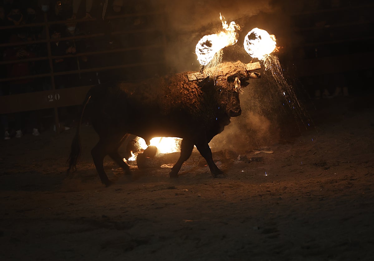 El Toro Jubilo de Medinaceli (Soria), en una imagen de archivo