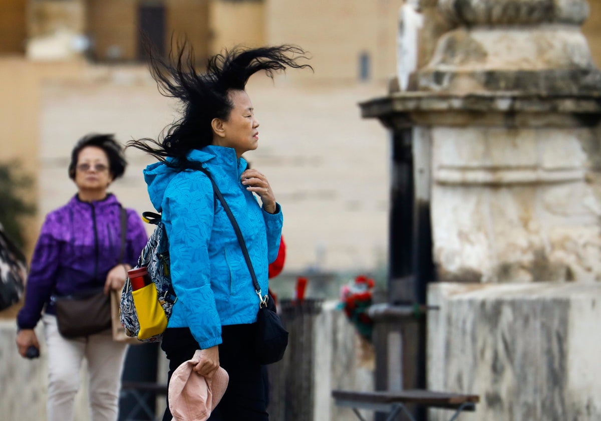 Una turista pasea por el puente romano de Córdoba, sometido a fuertes rachas de viento