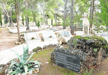 Perros, gatos, dos monos y un jabalí: el cementerio de mascotas de Madrid donde reposan 8.500 animales